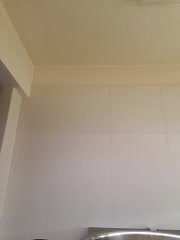 PalomaDesireee live screenshot 2025-10-15 07:59:18