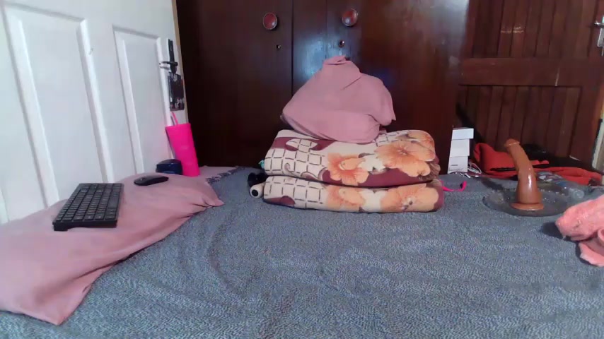 PhatoocyAss live screenshot 2025-08-25 05:31:20