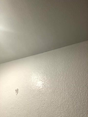 Phattpinktaco live screenshot 2025-09-22 10:34:27