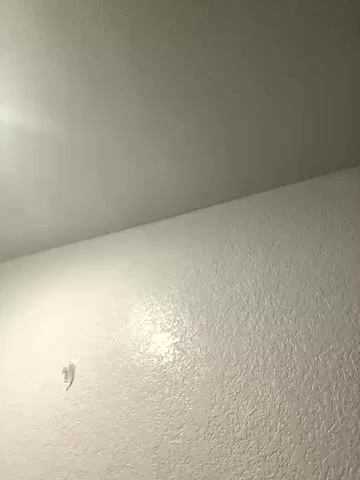 Phattpinktaco live screenshot 2025-09-22 10:35:20