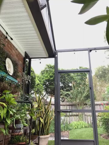 PhotoBabe live screenshot 2025-09-28 22:36:40