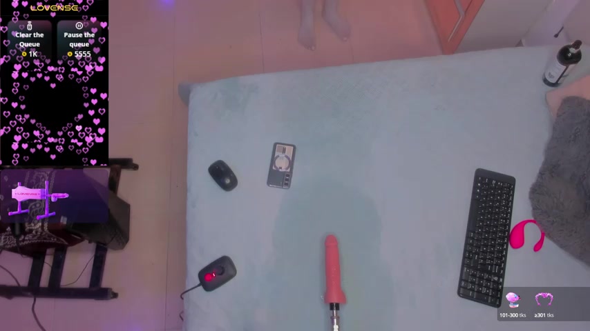 PittAndLunaa live screenshot 2025-09-30 17:10:41