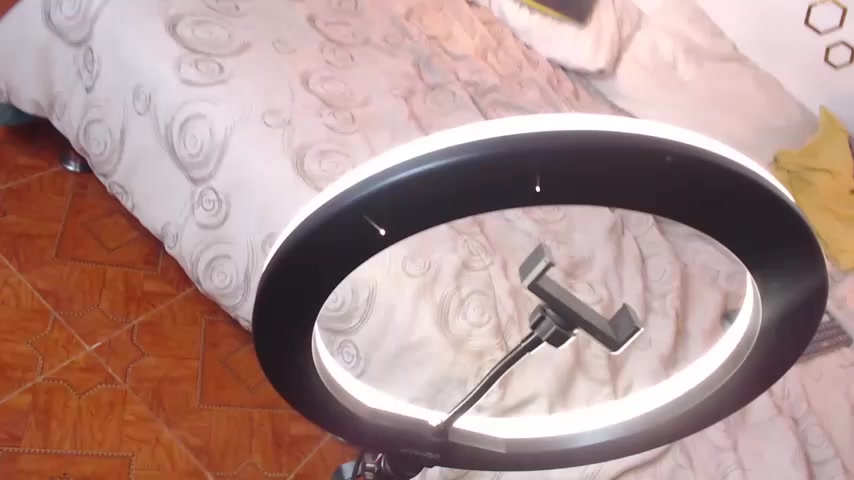 Provincute live screenshot 2025-10-21 06:42:24