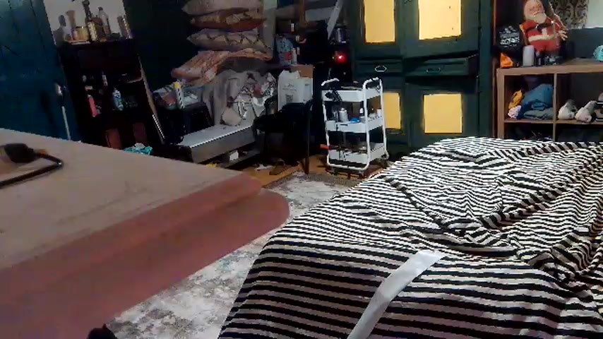 RawRyder8 live screenshot 2025-09-23 02:16:45