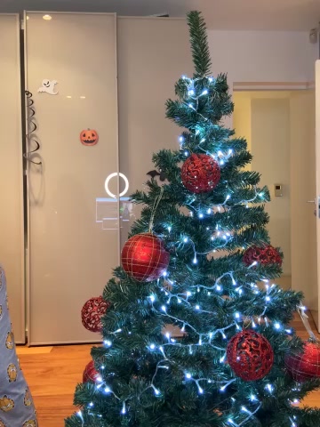 RoxxyDallas live screenshot 2025-12-06 23:37:21