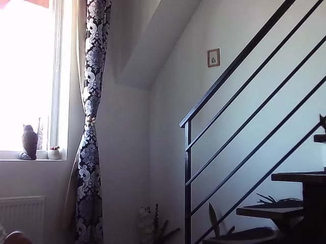 RyanStorm_ live screenshot 2025-08-24 10:33:30
