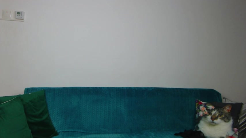 SaraDaisy live screenshot 2025-09-21 20:40:58