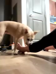 SexyB214 live screenshot 2025-10-06 07:21:03