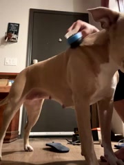 SexyB214 live screenshot 2025-10-06 07:23:06