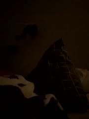 SexyB214 live screenshot 2025-10-06 08:19:52