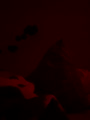 SexyB214 live screenshot 2025-10-06 08:20:38