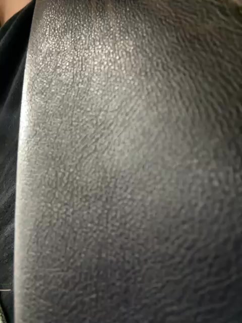 Sunny___Bunny latest screenshot