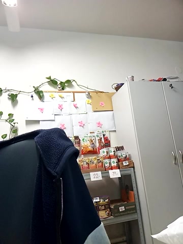 TerezaVelvet live screenshot 2025-10-06 12:39:44