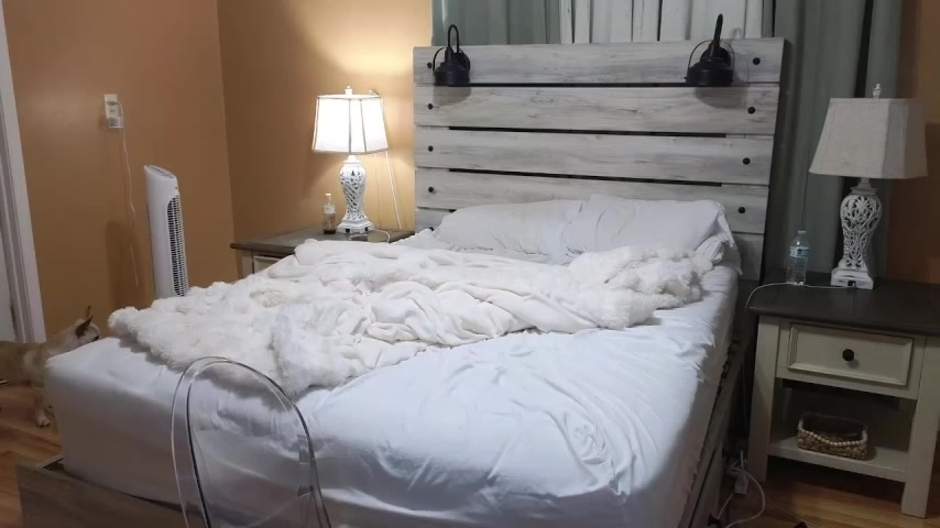 TexasTattooedHouseWife live screenshot 2025-11-24 14:19:22