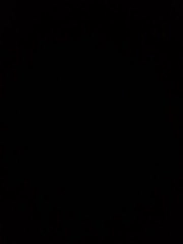 VERONICA__03 live screenshot 2025-09-30 22:04:29