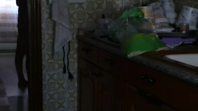 VeneRed live screenshot 2025-09-21 14:06:08