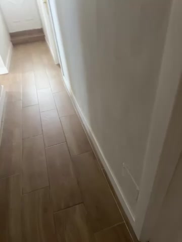 VyC7564 live screenshot 2025-11-27 11:37:25