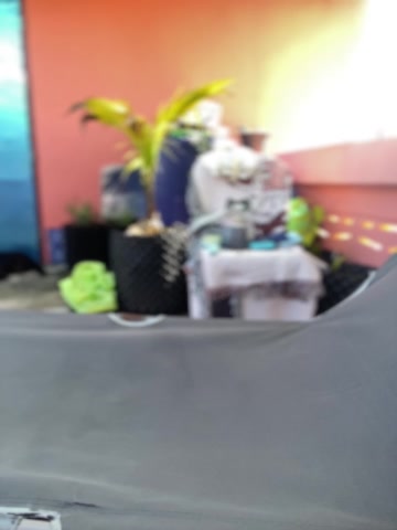 White_mistress live screenshot 2025-09-23 02:19:03