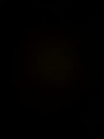 Wild2XXX live screenshot 2025-08-23 13:15:53