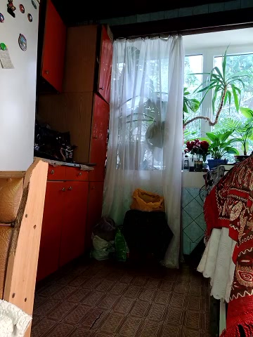 Xelenaxcbbs live screenshot 2025-09-29 06:11:18