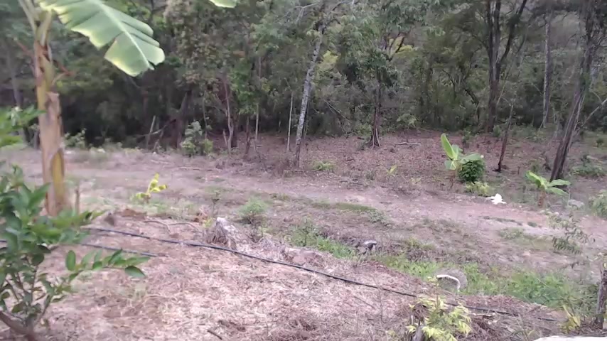 andreu_mature live screenshot 2025-10-01 13:35:12