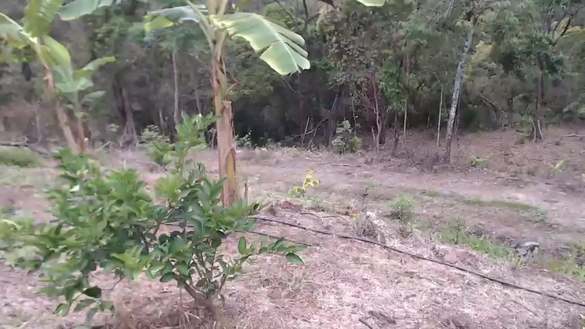 andreu_mature live screenshot 2025-10-01 13:36:54