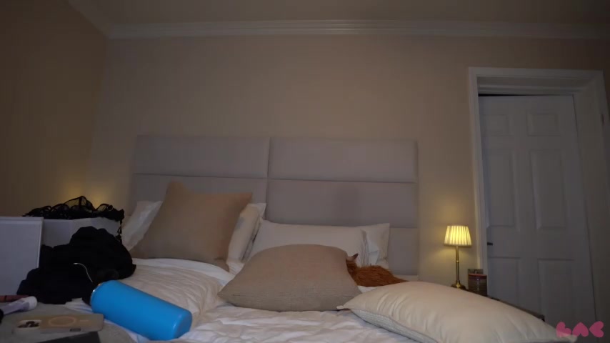 baedot live screenshot 2025-11-04 03:39:58