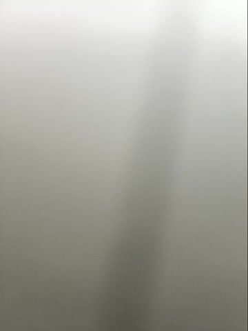 bichota85 live screenshot 2025-12-22 09:52:25