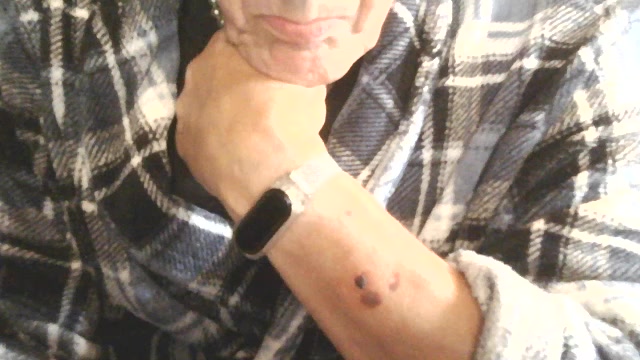 dannedonger2 live screenshot 2025-09-30 12:07:15