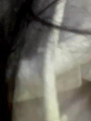 ivse0204 latest screenshot