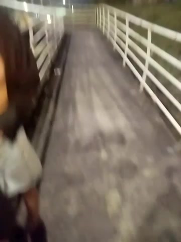 jarolnahomy live screenshot 2025-09-24 04:23:30