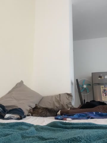 laprincesa2punto0 live screenshot 2025-09-23 14:30:14