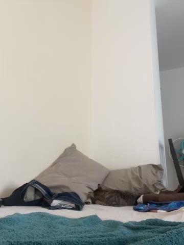 laprincesa2punto0 live screenshot 2025-09-23 14:37:26