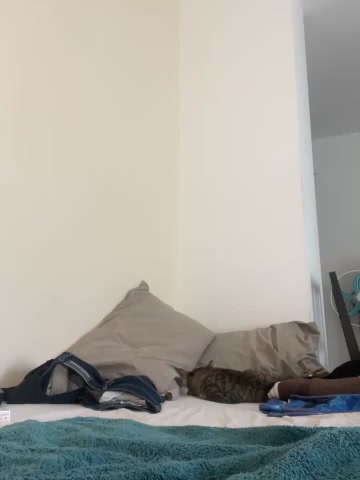 laprincesa2punto0 live screenshot 2025-09-23 14:38:25