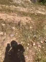 meishaofu live screenshot 2025-09-24 06:32:45