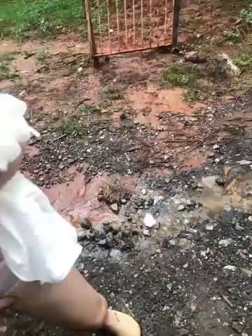 meishaofu live screenshot 2025-09-30 07:32:16