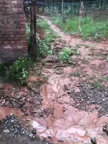 meishaofu live screenshot 2025-09-30 07:33:16