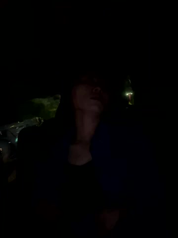 petoys live screenshot 2025-10-01 20:45:55