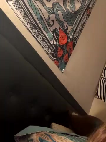 secretknight_Mrmask live screenshot 2025-11-04 07:57:32