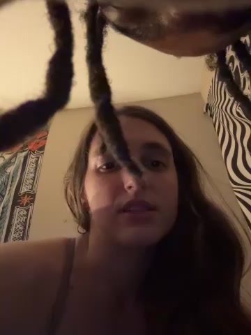 secretknight_Mrmask live screenshot 2025-11-04 08:08:18