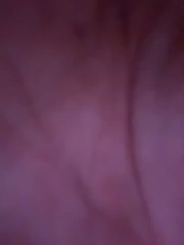 secretknight_Mrmask live screenshot 2025-11-04 08:09:18