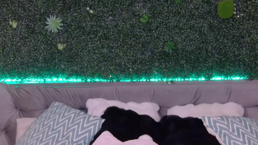 sexyanais live screenshot 2025-10-06 06:43:10