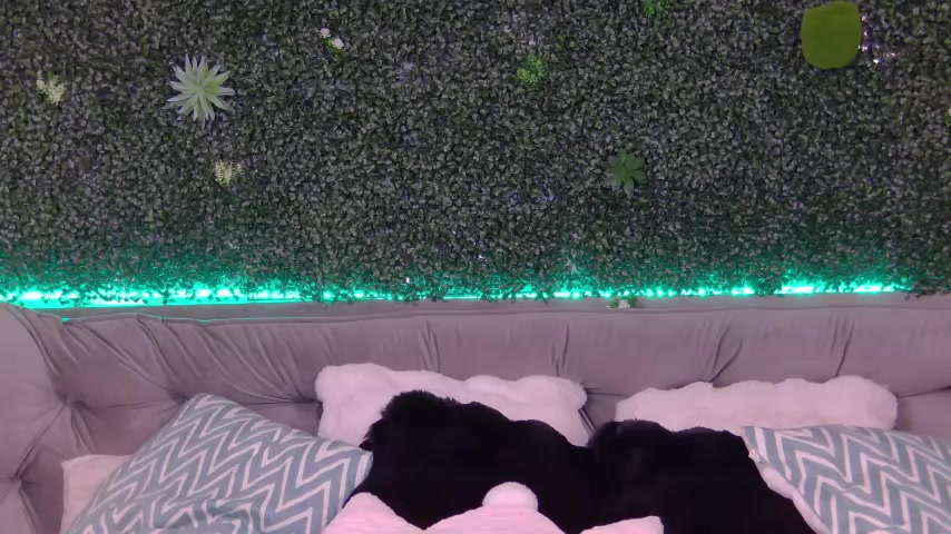 sexyanais live screenshot 2025-10-06 06:44:10