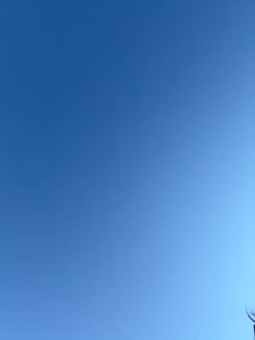 sweetsirenn live screenshot 2025-11-24 16:07:45