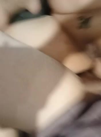 xfelinitax live screenshot 2025-09-21 05:00:04